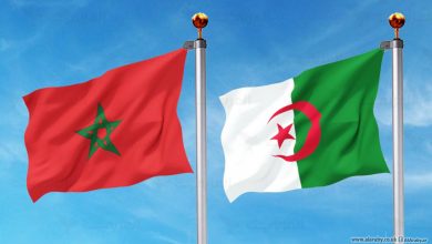 خبير أمني: المناورة المغربية تهدف لضرب وحدة الجزائر