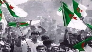 نجوم العرب يهنؤن الجزائر في عيد استقلالها