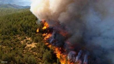 المدير العام للغابات : الأمور لاتزال صعبة بخصوص الحرائق