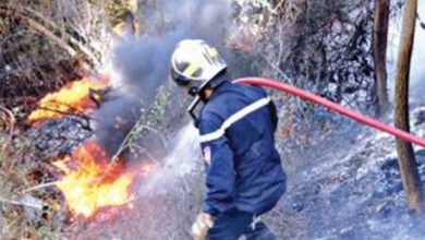 الجزائر تستعمل "دورن" لمنع حرائق الغابات
